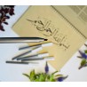 Learn Calligraphy - Starter Kit - Book + 2 Pens